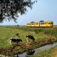 1j. IJsselmuiden Bosjessteeg 11 juli 1983, NS 167 op weg naar Zwolle (foto Paul van Baarle)