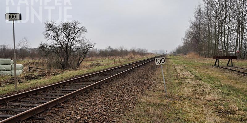 1y. (foto Kasper Haar)