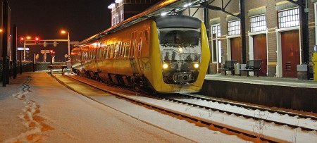 Buffel in de sneeuw